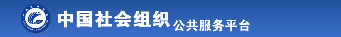 玖玖玩逼网全国社会组织信息查询